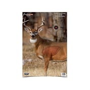 BIRCHWOOD CASEY - BC Pregame 16.5 X 24 Whitetail Target 3 Pk