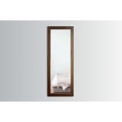 TACTICAL WALLS - 1450 FRAMED CONCEALMENT MIRROR
