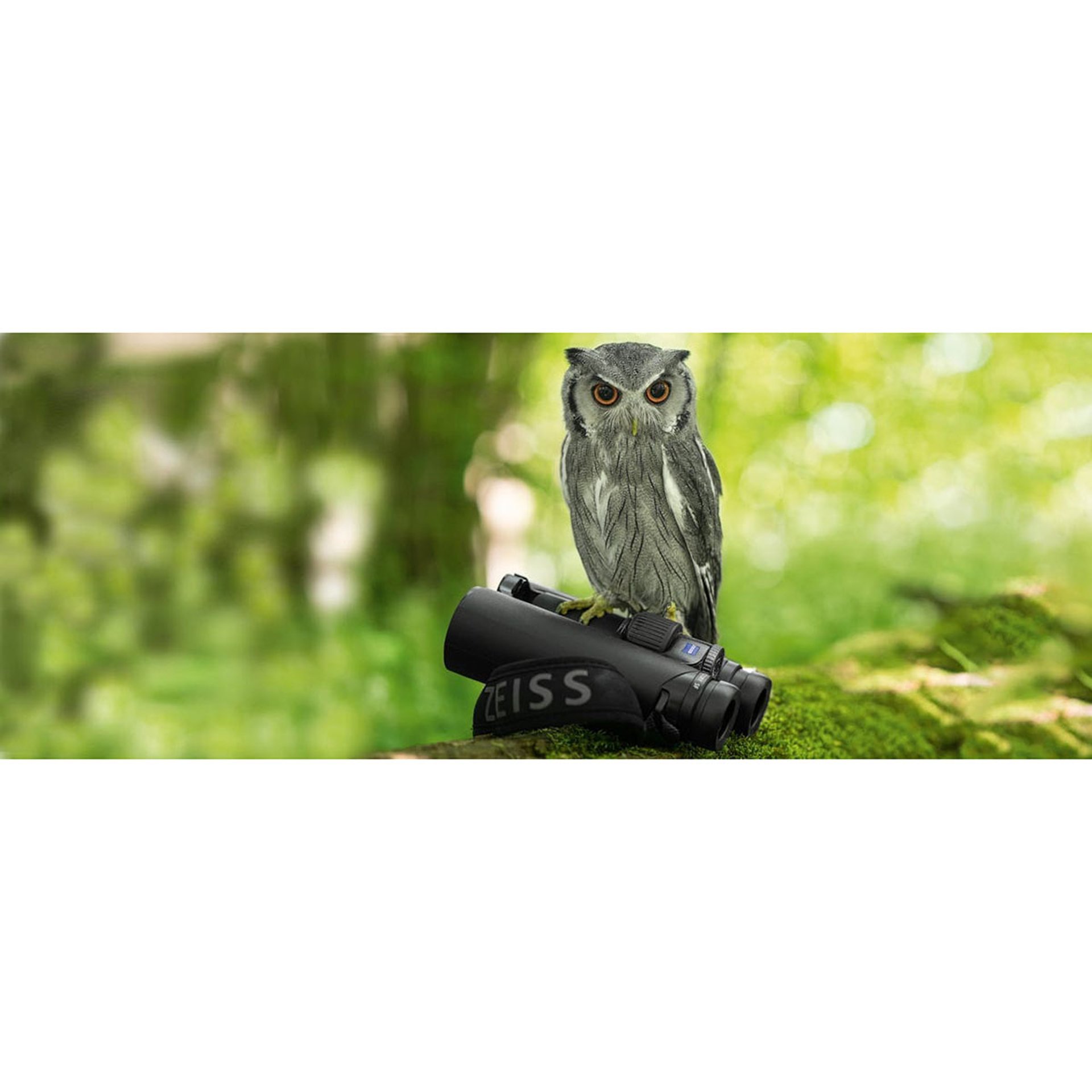 Victory SF 8x42mm Binocular Black