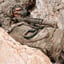 Halftrack Pack - Multicam