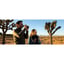 SFL 8x40mm Binocular Black