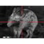 Cronus ATS Pro 50L-640 2.95-23.6x50mm 640x480 Res w/LRF